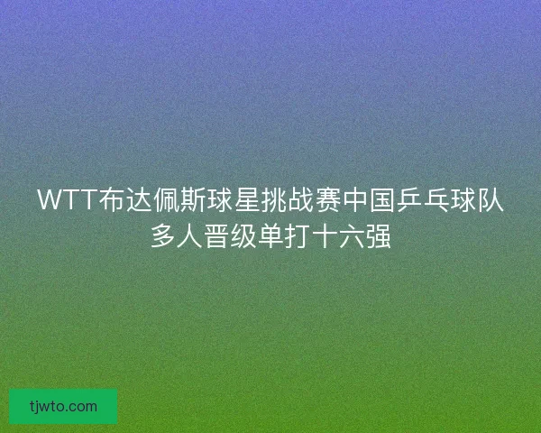 WTT布达佩斯球星挑战赛中国乒乓球队多人晋级单打十六强